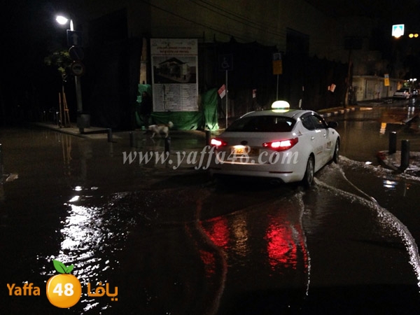 no3am streent yaffa (2).JPG